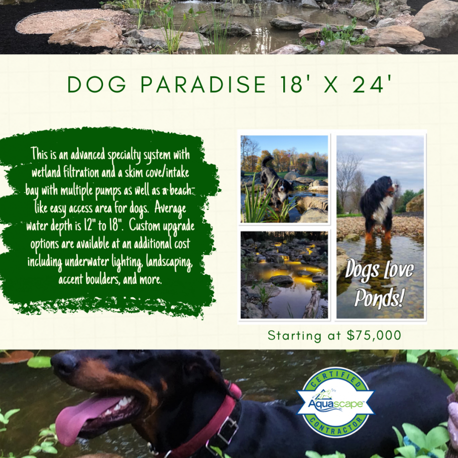 Kingdom Landscaping Pond Builder Dog Paradise Aquascape Ecosystem Pond