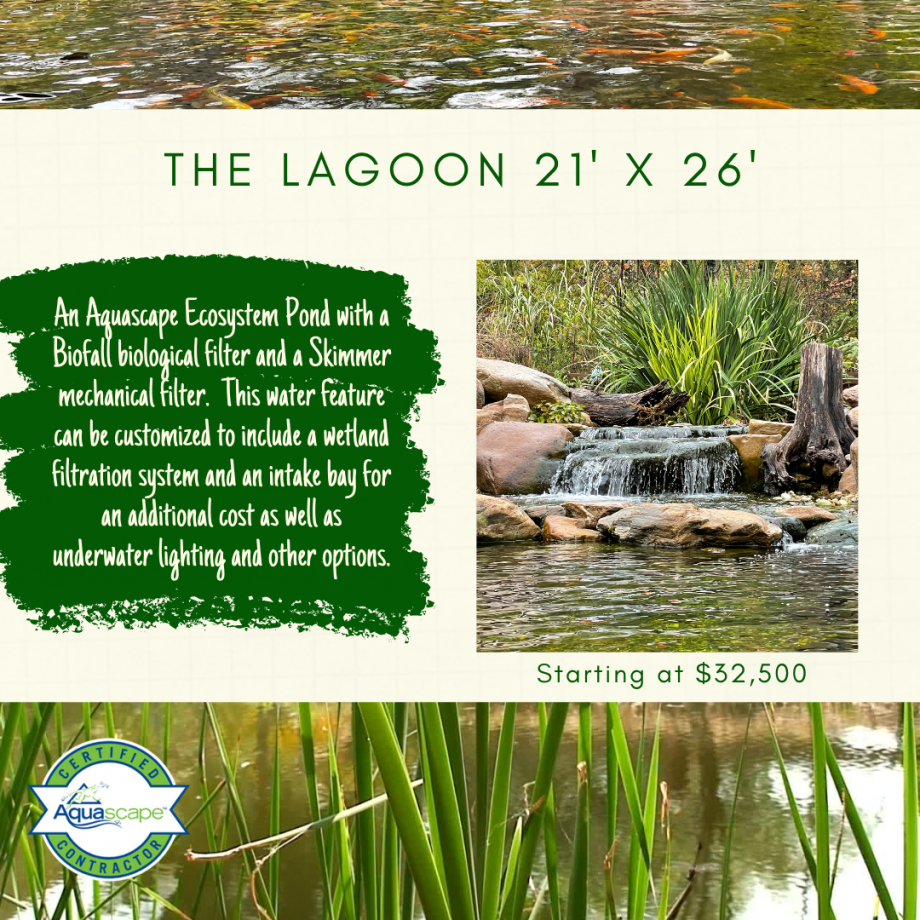 Kingdom Landscaping Pond Builder The Lagoon Aquascape Ecosystem Pond