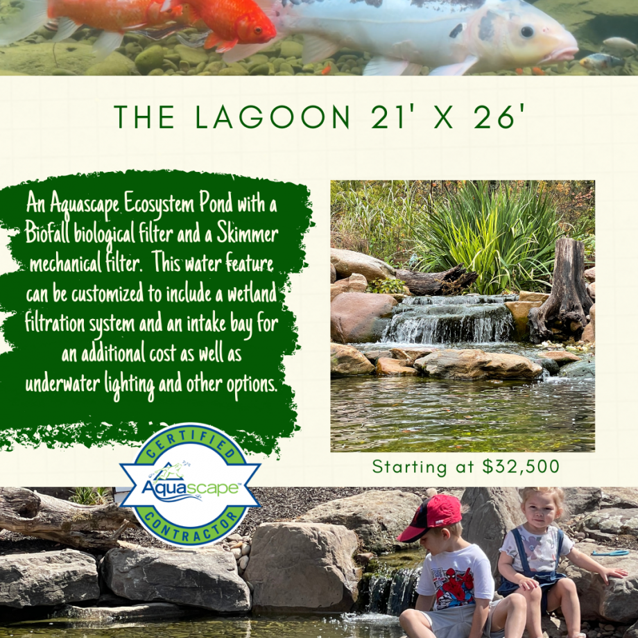 Kingdom Landscaping Pond Builder The Lagoon Aquascape Ecosystem Pond