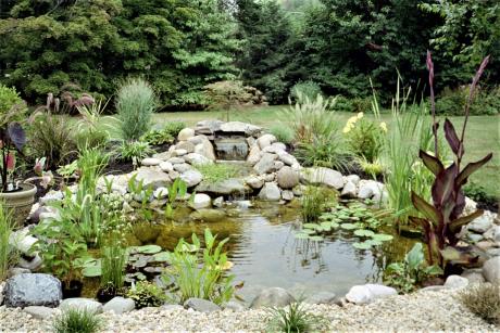 Aquascape Ecosystem Pond