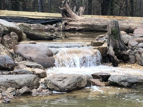 Waterfall Catoctin Wildlife Preserve Thurmont Maryland