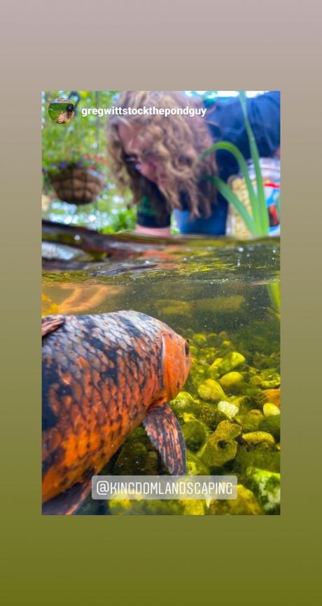 Jodi Tyler of Kingdom Landscaping feeding fish underwater with Greg Wittstock of Aquascape as photographer