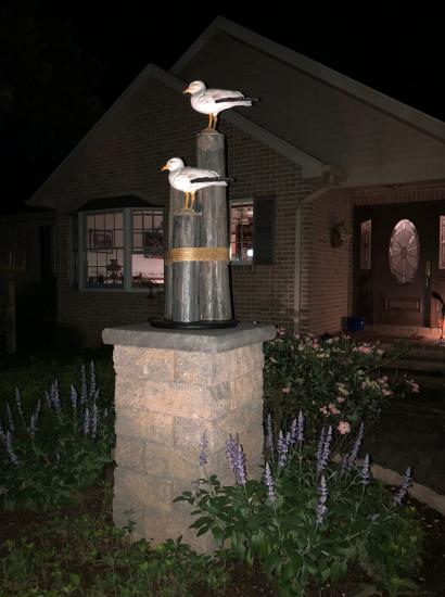 Gulls at night