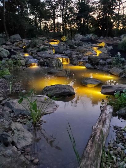 Aquascape Dog Pond with LED Lighting