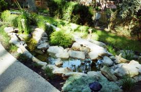 Aquascape Ecosystem pond and stream beside swimming pool built by Certified Aquascape Contractor and pond builder Kingdom Landscaping in Hagerstown Maryland