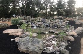 Aquascape Ecosystem Pond built by Koi Pond Builder Kingdom Landscaping in Sabillasville Maryland Pond features a wetland filtration system three waterfalls and streams an intake bay skim cove large machine set boulders dog pond was built for Bernese Mountain dogs