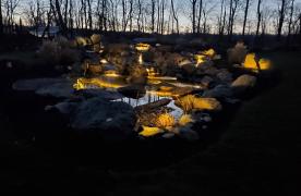 Kingdom Landscaping Pond Builder Dog Pond Aquascape Wetland Filtration LED Underwater Lighting Waterfalls Streams
