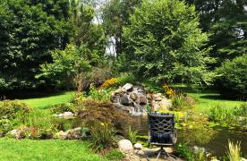 Aquascape Ecosystem Pond built by Certified Aquascape Contractor and Pond Builder Kingdom Landscaping in Mercersburg Pennsylvania with koi fish and waterlilies and waterfall with chair on destination boulder for viewing and feeding fish 