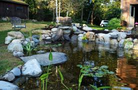 Aquascape Ecosystem Pond built by Certified Aquascape Contractor and koi pond builder Kingdom Landscaping in Hagerstown Maryland featuring a spillway waterfall and biofall waterfall and stream with destination viewing rock on edge of pond