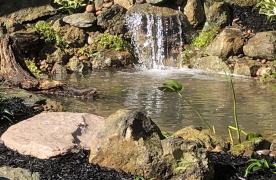 Aquascape Ecosystem Pond and biofall waterfall built by Certified Aquascape Contractor and pond builder Kingdom Landscaping in Hedgesville West Virginia
