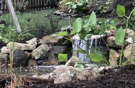 Aquascape Ecosystem Pond with waterfall by ponds edge built by Certified Aquascape Contractor and pond builder Kingdom Landscaping in Williamsport Maryland