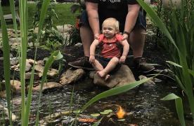 Aquascape Ecosystem Pond grandchild with grandfather enjoying watching fish in pond with clear water and plants built by certified aquascape contractor and pond builder Kingdom Landscaping in Sabillasville Maryland