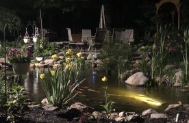 Aquascape Ecosystem Pond with underwater lighting at night with lights shining on plants and rocks built by Certified Aquascape Contractor pond builder Kingdom Landscaping in Sabillasville Maryland Frederick County Washington County 