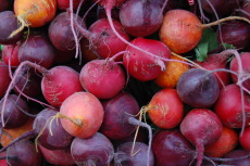 When to plant beets