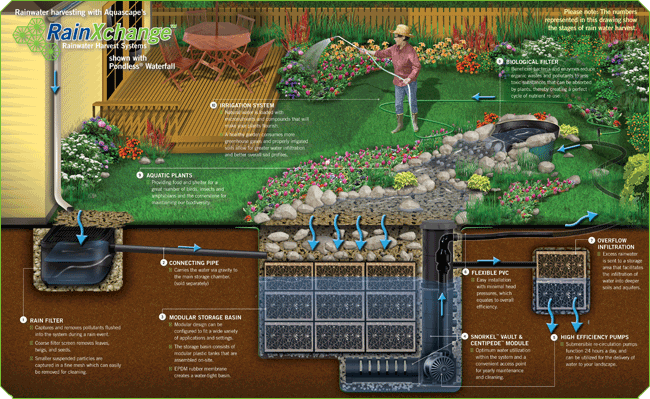 rainwater harvest system